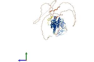 AlphaFold protein structure predicition of Human Recombinant FXR2 Protein, UniprotID P51116
