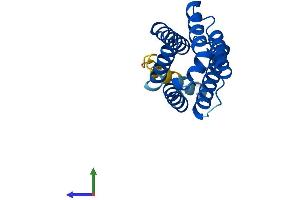 AlphaFold protein structure predicition of Human Recombinant TNFAIP8L2 Protein, UniprotID Q6P589