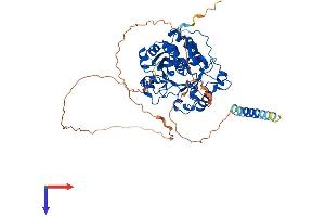 AlphaFold protein structure predicition of Human Recombinant ST6GAL2 Protein, UniprotID Q96JF0
