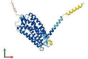 AlphaFold protein structure predicition of Mouse Recombinant Gpr183 Protein, UniprotID Q3U6B2