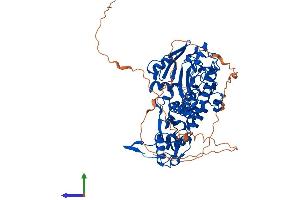 AlphaFold protein structure predicition of Human Recombinant RIOX1 Protein, UniprotID Q9H6W3