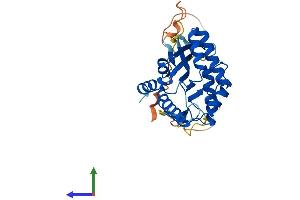 AlphaFold protein structure predicition of Mouse Recombinant Bccip Protein, UniprotID Q9CWI3