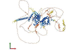 AlphaFold protein structure predicition of Human Recombinant HIF1A Protein, UniprotID Q16665