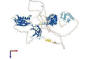 AlphaFold protein structure predicition of Mouse Recombinant Nfkb1 Protein, UniprotID P25799