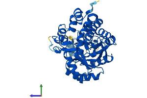 AlphaFold protein structure predicition of Human Recombinant HAO1 Protein, UniprotID Q9UJM8