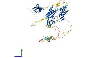 AlphaFold protein structure predicition of Mouse Recombinant Stau2 Protein, UniprotID Q8CJ67