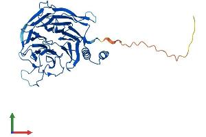 AlphaFold protein structure predicition of Mouse Recombinant Ercc8 Protein, UniprotID Q8CFD5