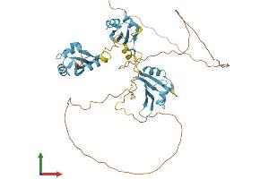 AlphaFold protein structure predicition of Human Recombinant HNRNPH2 Protein, UniprotID P55795