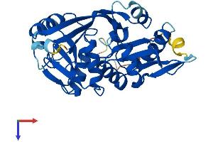 AlphaFold protein structure predicition of Human Recombinant GLYATL1 Protein, UniprotID Q969I3