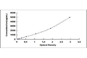 Typical standard curve (ICAM1 Kit ELISA)