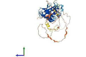 AlphaFold protein structure predicition of Human Recombinant KMT5C Protein, UniprotID Q86Y97