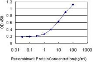 Detection limit for recombinant GST tagged RUNX2 is approximately 0.