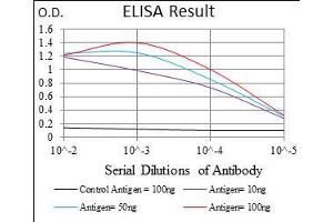 Black line: Control Antigen (100 ng), Purple line: Antigen(10 ng), Blue line: Antigen (50 ng), Red line: Antigen (100 ng), (FLIP anticorps  (AA 100-251))