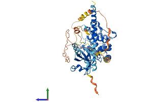 AlphaFold protein structure predicition of Human Recombinant STK3 Protein, UniprotID Q13188