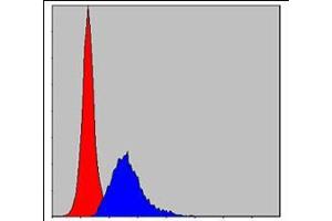 Flow cytometric analysis of MCF-7 cells using CRK mouse mAb (blue) and negative control (red).