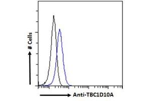 ABIN6391415 Flow cytometric analysis of paraformaldehyde fixed HEK293 cells (blue line), permeabilized with 0.
