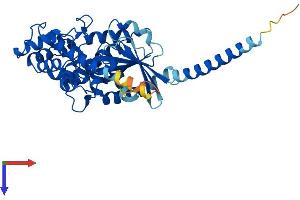 AlphaFold protein structure predicition of Mouse Recombinant Gnas Protein, UniprotID P63094