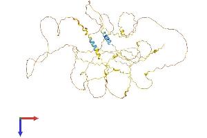AlphaFold protein structure predicition of Human Recombinant AMER2 Protein, UniprotID Q8N7J2