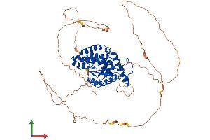 AlphaFold protein structure predicition of Human Recombinant EYA2 Protein, UniprotID O00167