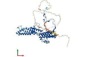 AlphaFold protein structure predicition of Mouse Recombinant Best1 Protein, UniprotID O88870