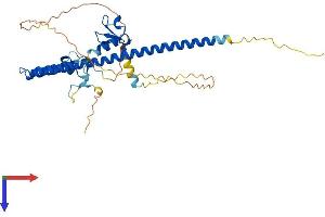 AlphaFold protein structure predicition of Human Recombinant TRIM44 Protein, UniprotID Q96DX7