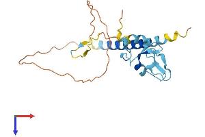 AlphaFold protein structure predicition of Human Recombinant RNF152 Protein, UniprotID Q8N8N0