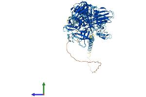 AlphaFold protein structure predicition of Mouse Recombinant Tmprss6 Protein, UniprotID Q9DBI0