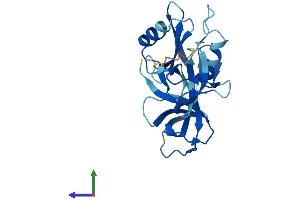 AlphaFold protein structure predicition of Mouse Recombinant Grap Protein, UniprotID Q9CX99