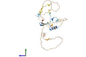 AlphaFold protein structure predicition of Human Recombinant VGLL2 Protein, UniprotID Q8N8G2