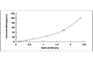 Typical standard curve (IL12A Kit ELISA)