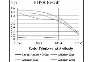 ELISA image for anti-Piwi-Like 4 (PIWIL4) (AA 304-434) antibody (ABIN1844723) (PIWIL4 anticorps  (AA 304-434))