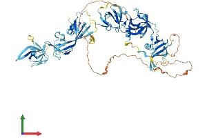 AlphaFold protein structure predicition of Mouse Recombinant Themis2 Protein, UniprotID Q91YX0