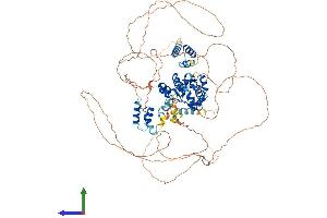 AlphaFold protein structure predicition of Human Recombinant ZC3H12B Protein, UniprotID Q5HYM0