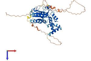 AlphaFold protein structure predicition of Human Recombinant MAEL Protein, UniprotID Q96JY0
