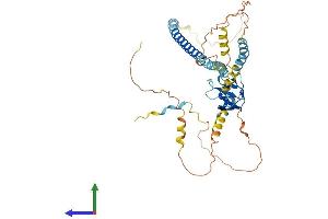 AlphaFold protein structure predicition of Human Recombinant PEX13 Protein, UniprotID Q92968
