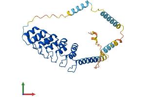 AlphaFold protein structure predicition of Human Recombinant ANKRD1 Protein, UniprotID Q15327