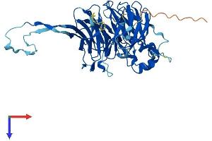AlphaFold protein structure predicition of Mouse Recombinant Ppp2r2d Protein, UniprotID Q925E7