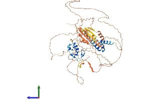 AlphaFold protein structure predicition of Mouse Recombinant Rnf6 Protein, UniprotID Q9DBU5