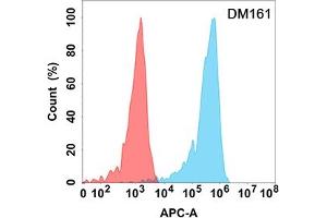 Flow cytometry analysis with Anti-CD5 (DM161) on Expi293 cells transfected with human CD5 (Blue histogram) or Expi293 transfected with irrelevant protein (Red histogram). (CD5 anticorps  (AA 25-372))
