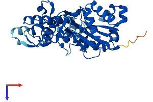 AlphaFold protein structure predicition of Mouse Recombinant Actr1a Protein, UniprotID P61164