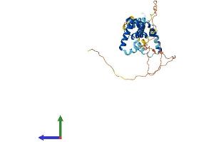 AlphaFold protein structure predicition of Human Recombinant PBX4 Protein, UniprotID Q9BYU1