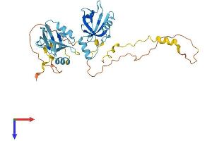 AlphaFold protein structure predicition of Human Recombinant NHERF2 Protein, UniprotID Q15599