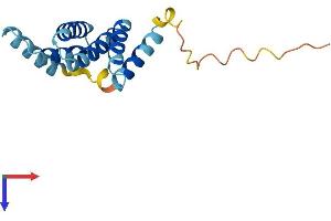 AlphaFold protein structure predicition of Mouse Recombinant Fis1 Protein, UniprotID Q9CQ92