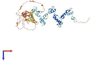AlphaFold protein structure predicition of Human Recombinant ZNF529 Protein, UniprotID Q6P280