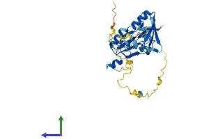 AlphaFold protein structure predicition of Mouse Recombinant Snrpa Protein, UniprotID Q62189