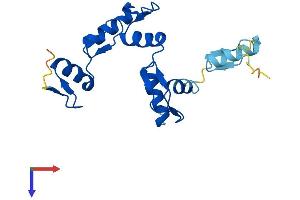 AlphaFold protein structure predicition of Human Recombinant ZNF833P Protein, UniprotID Q6ZTB9