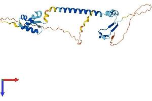 AlphaFold protein structure predicition of Human Recombinant E2F6 Protein, UniprotID O75461