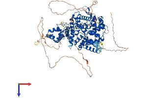 AlphaFold protein structure predicition of Mouse Recombinant Ccnf Protein, UniprotID P51944