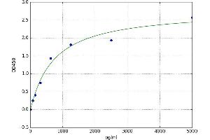 A typical standard curve (MNAT1 Kit ELISA)