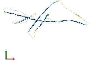 AlphaFold protein structure predicition of Human Recombinant GCC1 Protein, UniprotID Q96CN9
